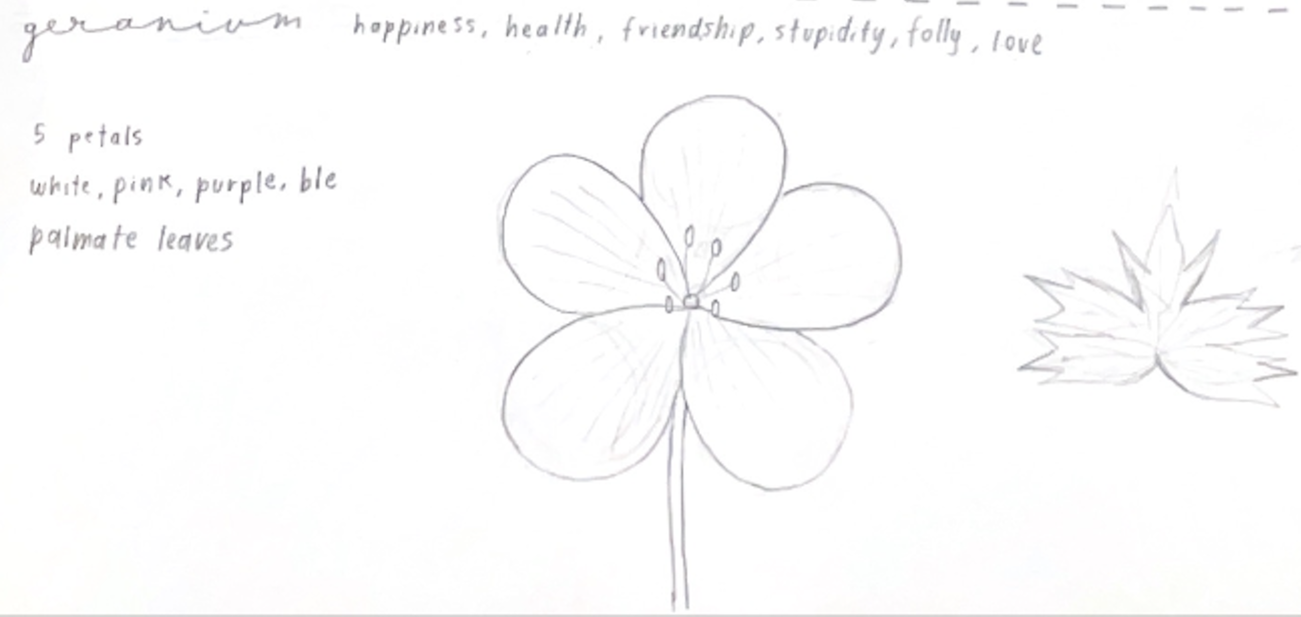 flower1.png